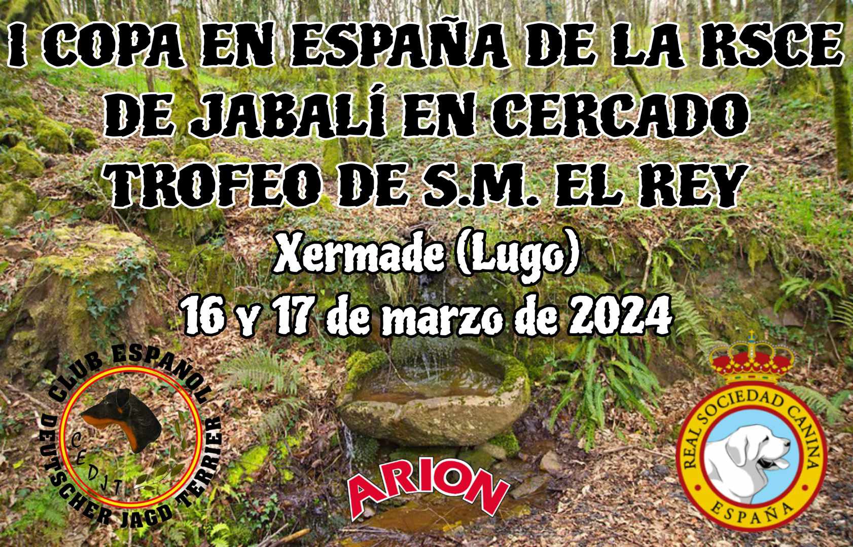 Lee más sobre el artículo I Copa en España de la RSCE de Jabalí en Cercado. Trofeo de S.M. el Rey