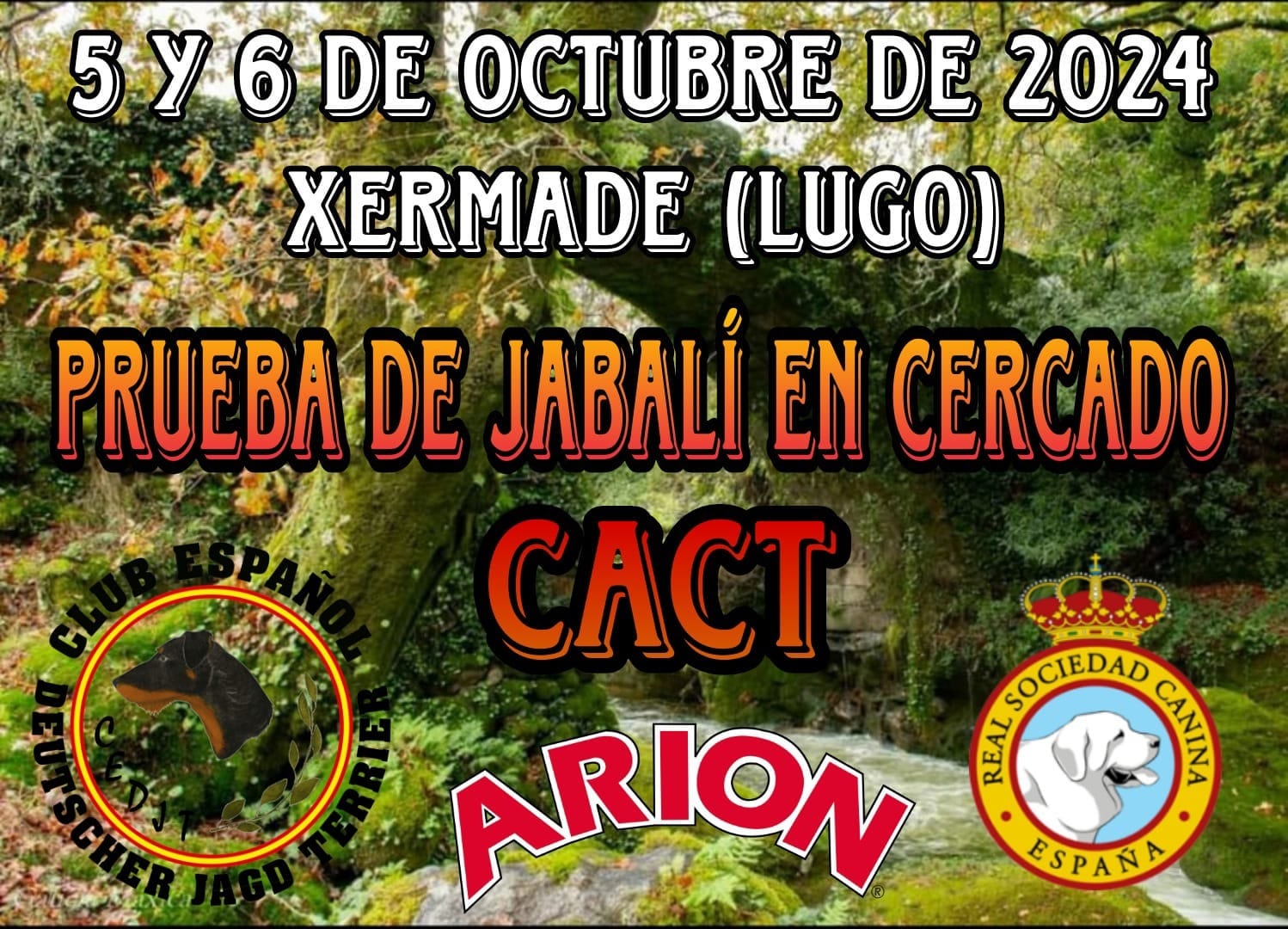 Lee más sobre el artículo Prueba de jabalí en cerrado – 5 y 6 oct Xermade