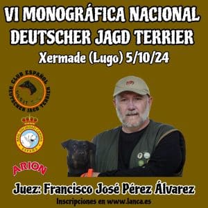 Lee más sobre el artículo VI Monográfica nacional Deutscher Jagd Terrier