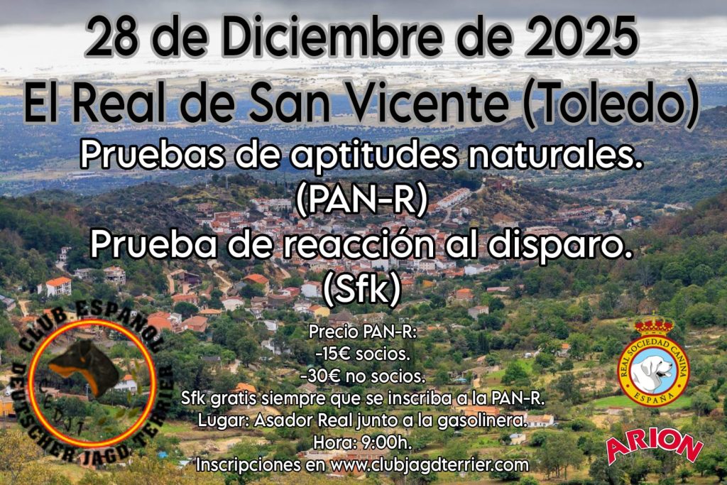 28 diciembre prueba aptitudes