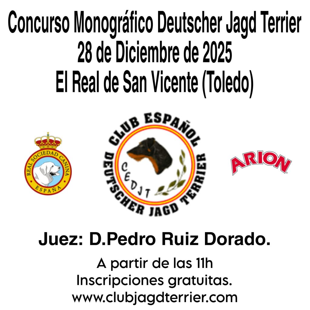 28 diciembre prueba aptitudes
