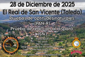 28 diciembre prueba aptitudes