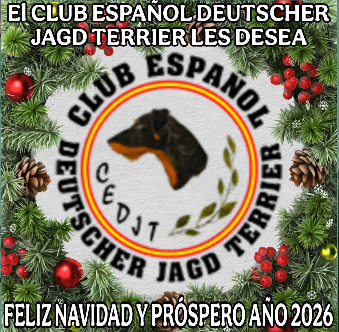 En este momento estás viendo ¡Feliz Navidad!